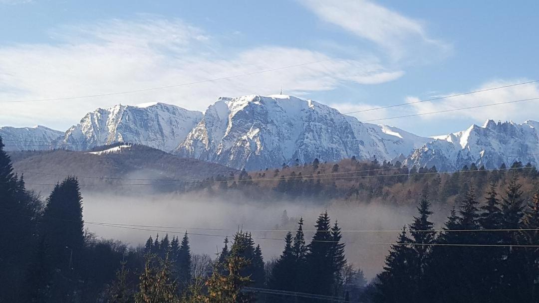 Treasure Mountain Predeal Eksteriør billede